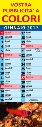 calendario